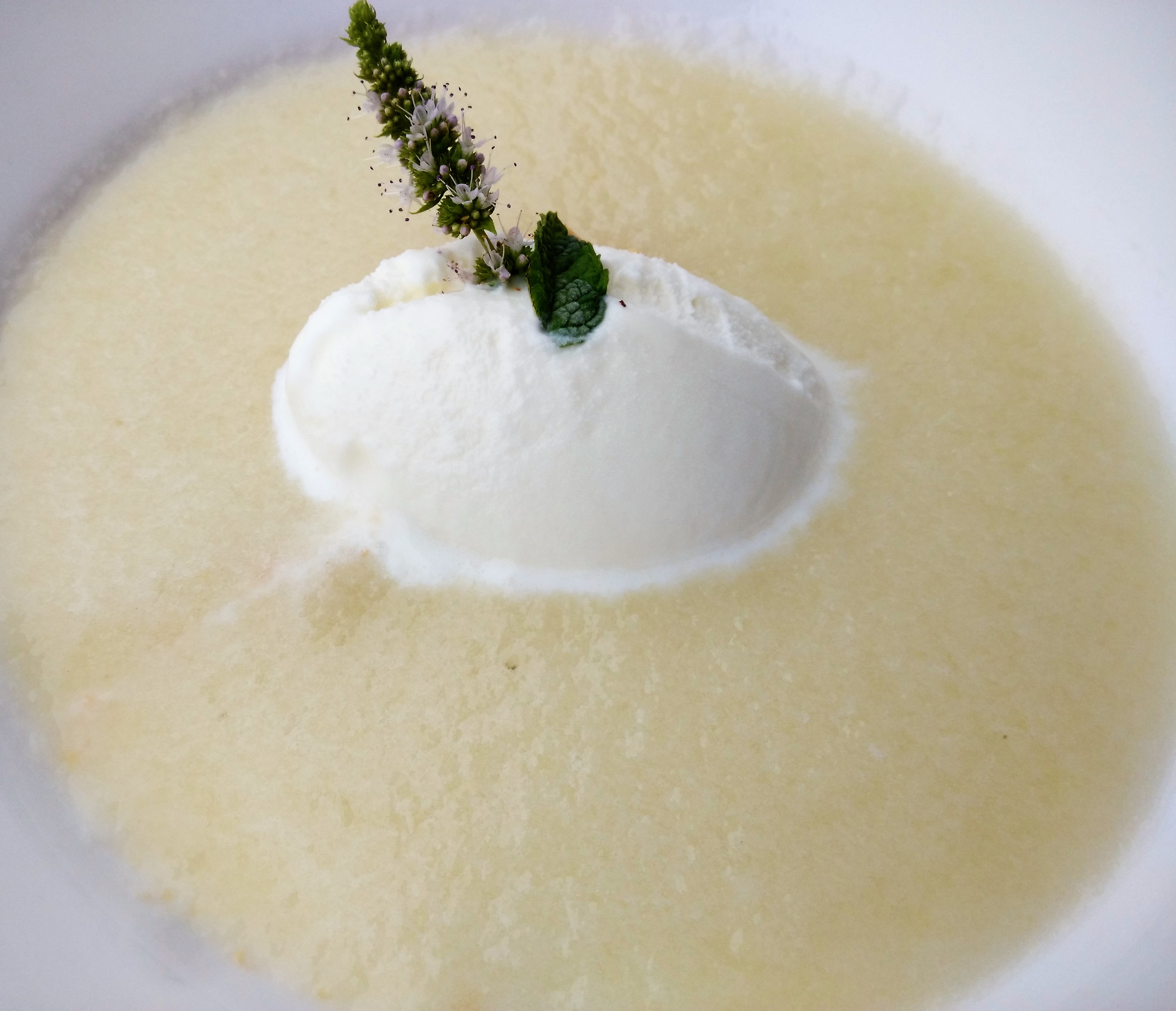 Sopa de Melón de Torres de Berrellén con helado de yogurt de leche de oveja